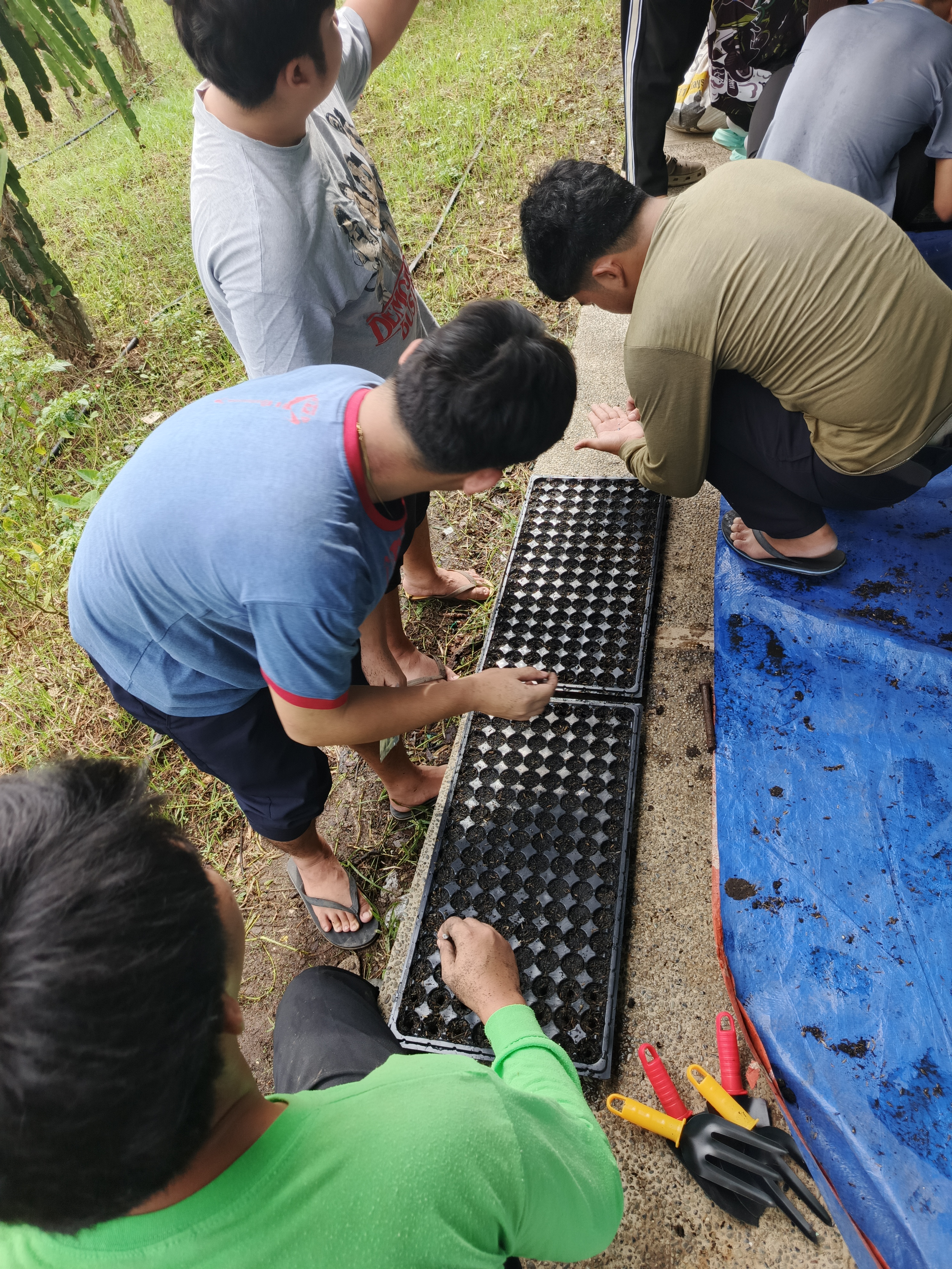 Agricultural Crops Production 7